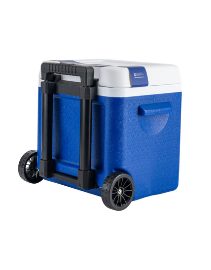 Camping Teapot / Teapot - 1.6 Lt