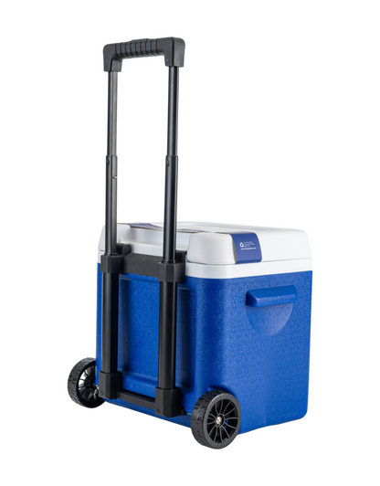 Camping Teapot / Teapot - 1.6 Lt